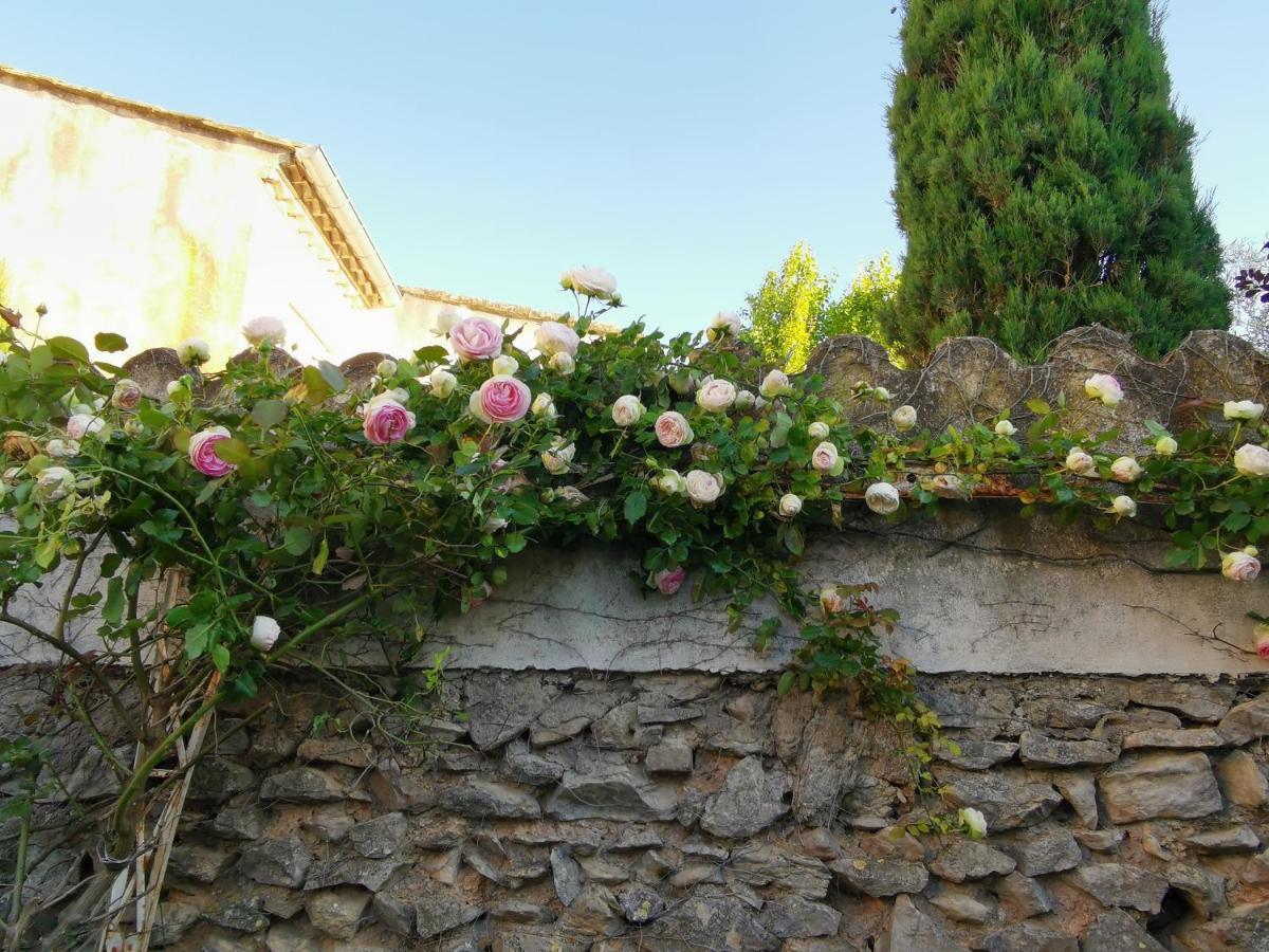 La Taniere 16 Couchages Villa Vergeze Bagian luar foto